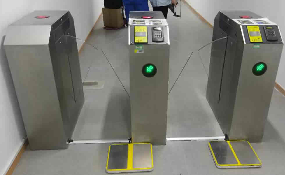 ���lESD�T������